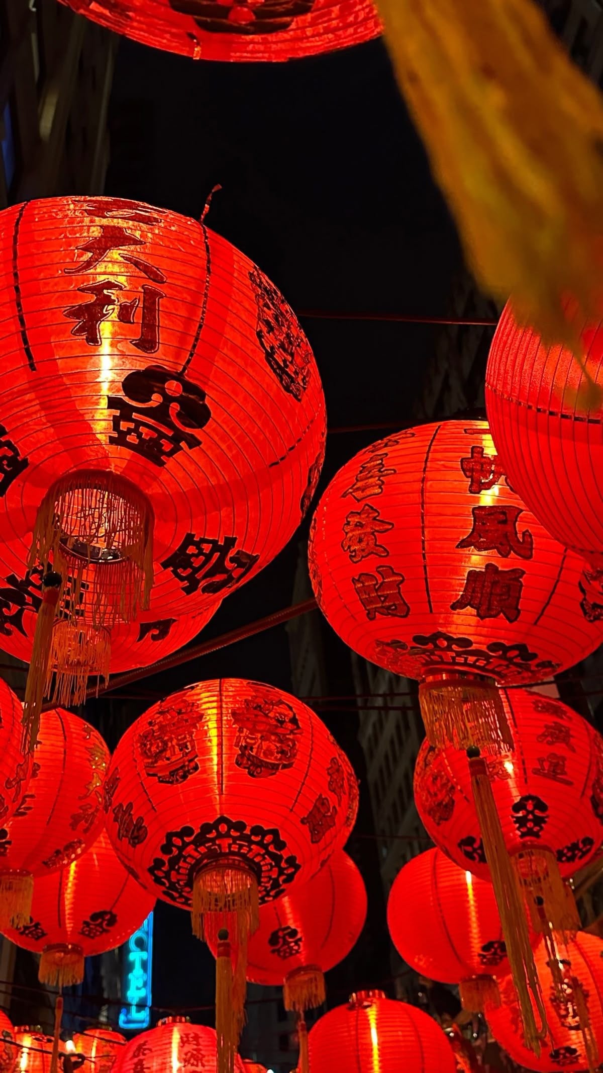 CHINA TOUR - VOYAGE BUSINESS 🇨🇳